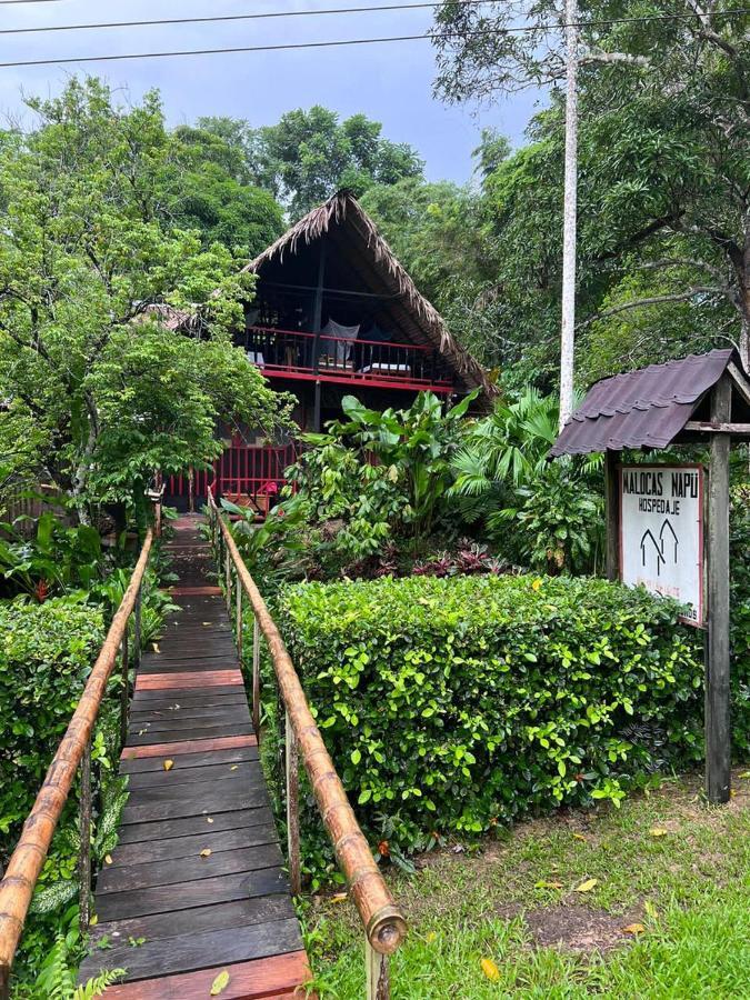 Puerto Nariño Maloka Napue - Ecodestinos酒店 外观 照片